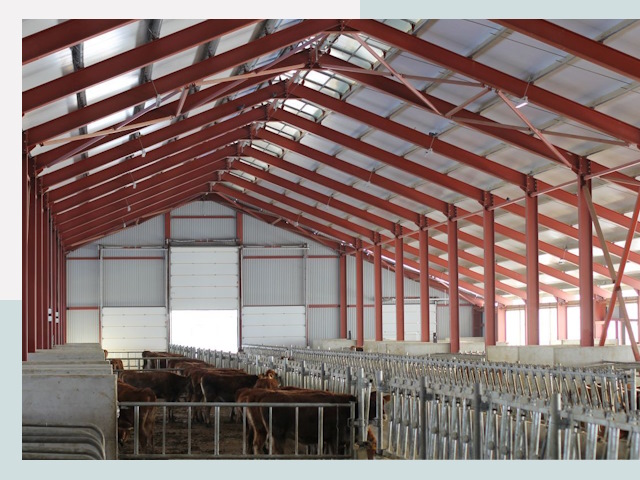 Строительство коровников в Ялте