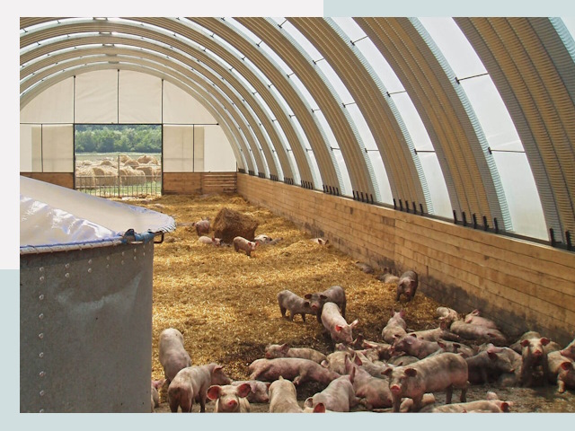 Строительство свинарников в Ялте